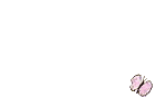 pink butterfly