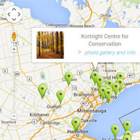 embedded custom Google map