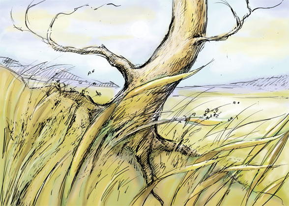 tree - Photoshop sketch